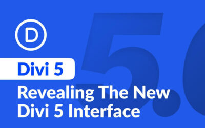 Cela fait maintenant 1 an que DIVI, le thème WordPress le plus populaire au monde, n’a plus été mis à jour !!!